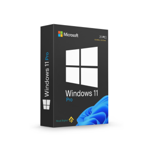 windows 11