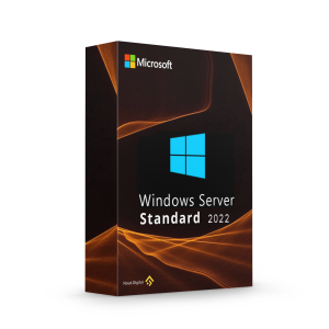 Windows server standard 2022 key Online