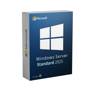 Windows Server Standard 2025 Key