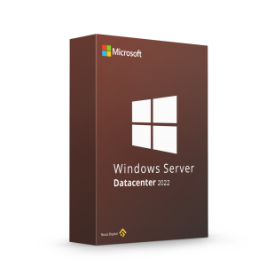 Windows server datacenter 2022 key Online